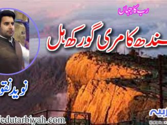 سندھ کا مری گورکھ ہل