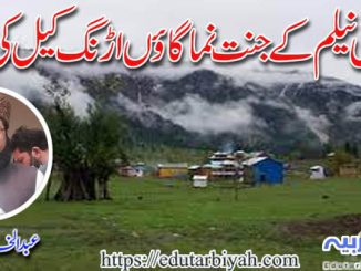 وادی نیلم کے جنت نما گاؤں اڑنگ کیل کی سیر