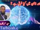 دماغِ اور ذہن میں کیا فرق ہے ؟