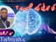 دماغ کی تبدیلی کیسے ممکن ہے ؟