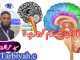 آپ کا ذہن کیسے کام کرتا ہے ؟