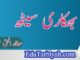 بھکاری سیٹھ