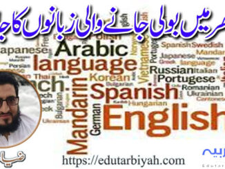 دنیا بھر میں بولی جانے والی زبانوں کا جائزہ