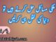 ملکی مسائل حل کرنے ہیں تو دنیا کی نقل ہی کرلیں