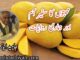 محبتوں کا سفیر آم اور ہماری روایات