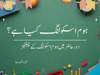 ہوم اسکولنگ کیا ہے؟