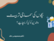 بچوں کی سماجی تربیت