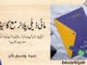 مائی ڈیلی پلانر