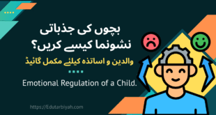 bachon ki jazbati nashonuma