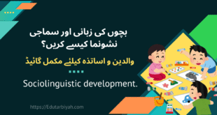 بچوں کی زبانی اور سماجی نشونما